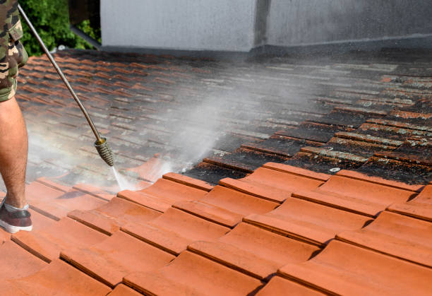 Best Exterior Home Cleaning  in Lake Shore, WA