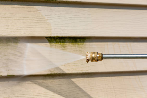 Best Exterior Home Cleaning  in Lake Shore, WA
